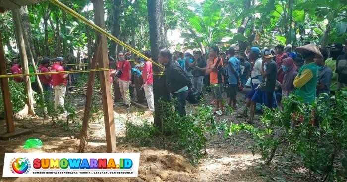 Asmara Maut Janda dan Pria Beristri di Ngawi