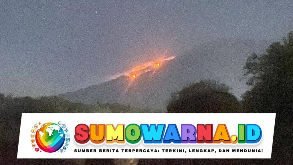 Gunung Agung Dilanda Kebakaran, 104 Hektare Hutan Lindung Terbakar