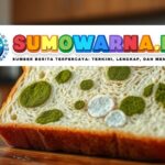 Apa yang Terjadi pada Tubuh Jika Tak Sengaja Mengonsumsi Roti Berjamur?