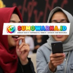 Kreativitas atau Kontroversi? Kisah Sadbor dan Dilema Saweran di TikTok