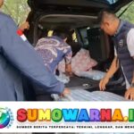 Polisi Sita Rp2,6 Miliar dari Istri Buronan Kasus Judi Online