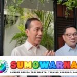 Ridwan Kamil Dapat Dukungan Prabowo dan Jokowi di Pilgub Jakarta