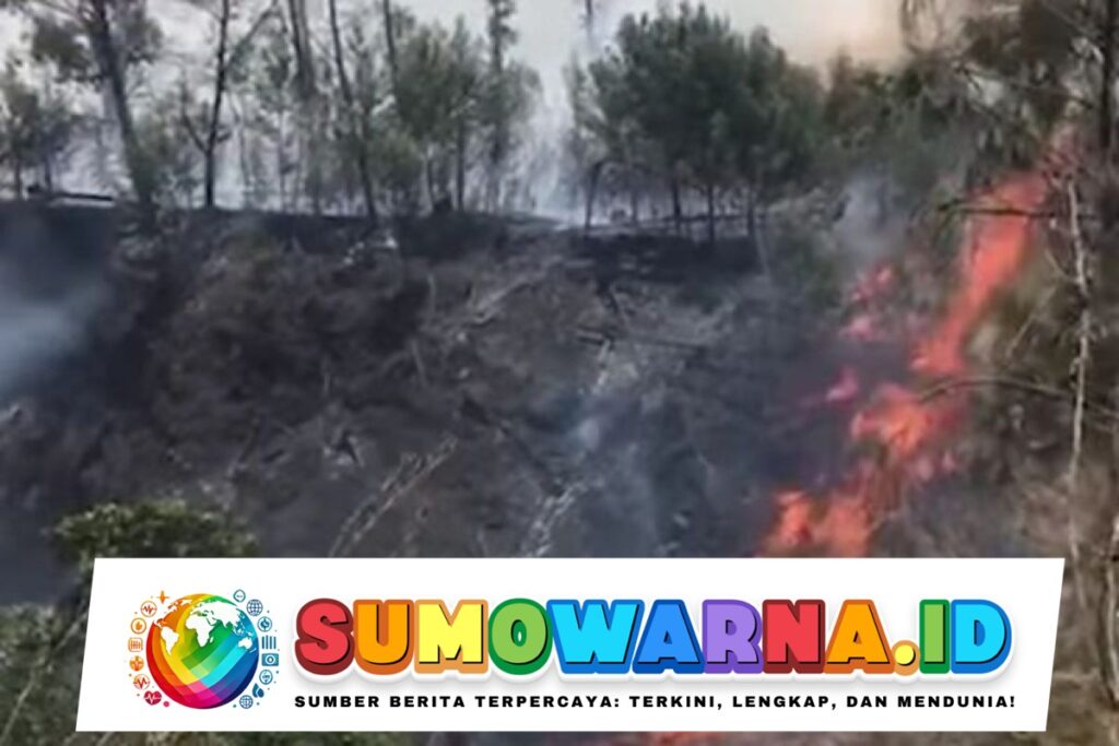 Kebakaran Hutan Gunung Rinjani Masih Belum Padam hingga Kamis Sore