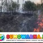 Kebakaran Hutan Gunung Rinjani Masih Belum Padam hingga Kamis Sore