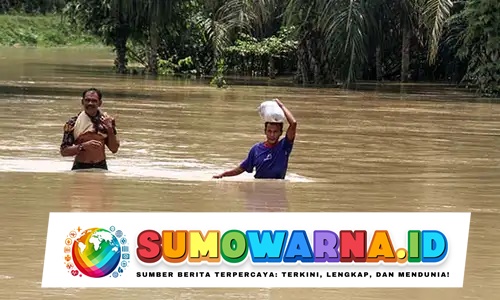 Banjir Landa Empat Desa di Aceh Barat, Warga Terpaksa Mengungsi