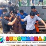 Tragedi di Situs Budaya Soppeng: Sembilan Pengunjung Tewas Akibat Pohon Tumbang