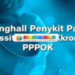 Mengenal Penyakit Paru Obstruktif Kronik (PPOK): Gejala, Pencegahan, dan Pengobatan di Indonesia