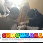 Puluhan Warga Tasikmalaya Terserang Penyakit Misterius, Gejala Mirip Chikungunya Tetapi Dites Negatif