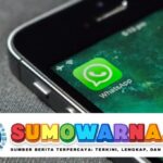 Cara Cek Kontak Obrolan WhatsApp yang Paling Boros Memori