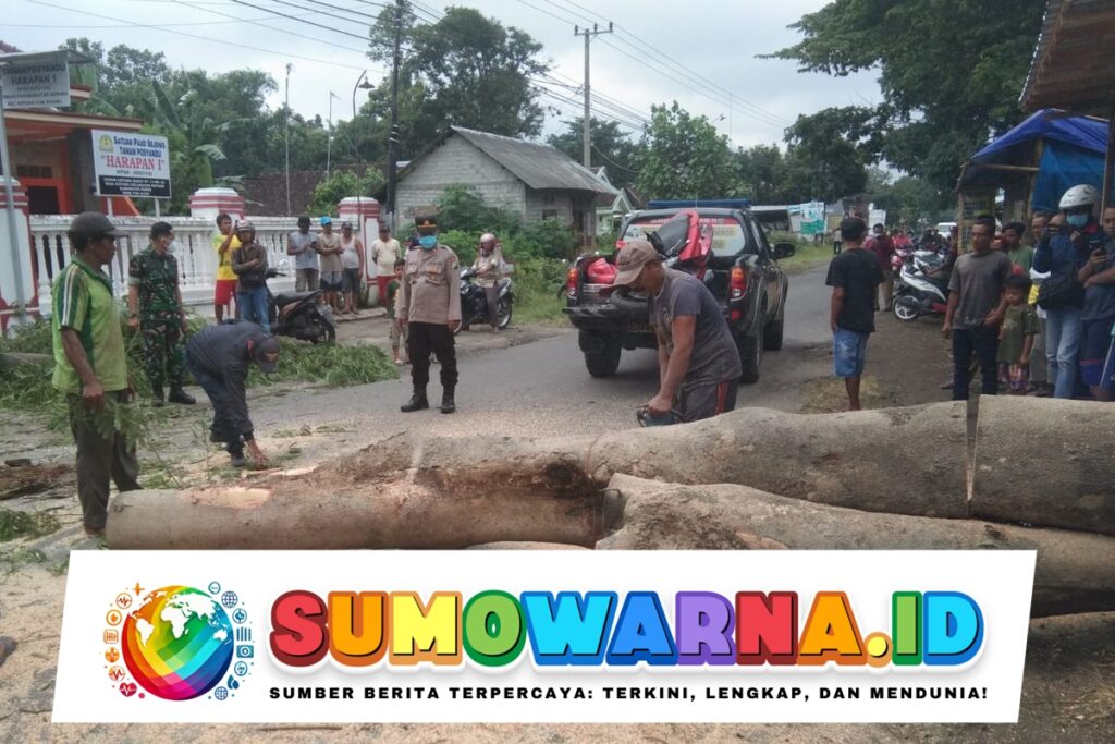 Pohon Tumbang di Kediri Timpa Pengendara Motor, Truk Diduga Penyebabnya