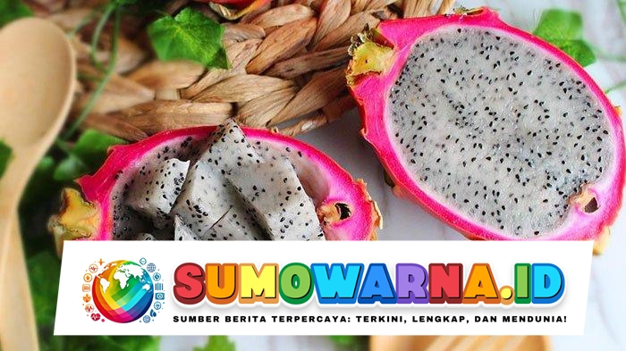 Apa Manfaat dari Buah Naga untuk Kesehatan? Berikut 10 Daftarnya