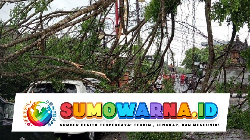 Tiga Korban Jiwa Akibat Pohon Tumbang di Arena Sabung Ayam Bali