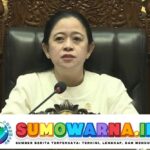 Puan Maharani Tekankan Peran Pers dalam Mengawasi Pemerintahan