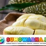 Efek Samping Durian Jika Dikonsumsi Berlebihan, Ini yang Perlu Diketahui