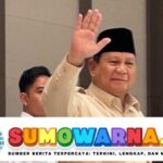 Prabowo Umumkan Peluncuran Danantara pada 24 Februari 2025