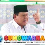 Prabowo Keluarkan Kebijakan Baru untuk Perlindungan Pekerja yang Terkena PHK