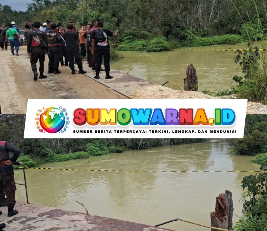 Truk Terjun ke Sungai di Pelalawan, Sopir Mengantuk Diduga Jadi Penyebab