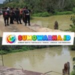 Truk Terjun ke Sungai di Pelalawan, Sopir Mengantuk Diduga Jadi Penyebab