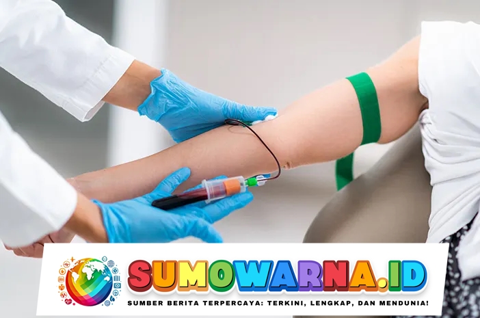 Pentingnya Asupan Zat Besi untuk Meningkatkan Hemoglobin Sebelum Donor