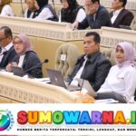 Pemerintah dan DPR Sepakati Pengangkatan CASN 2024, Termasuk Tenaga Non-ASN