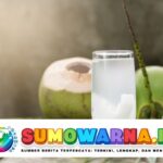 Apa Manfaat Minum Air Kelapa Setiap Hari? Berikut 10 Daftarnya