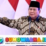 Prabowo Turun Tangan Merespons Polemik Pengangkatan CPNS, Ini yang Akan Dilakukan