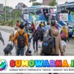 Pemkab Luwu Timur Coret Mudik Gratis 2025, Ini Alasannya