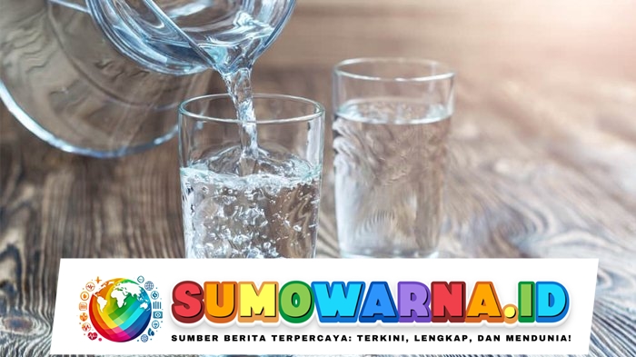 Dianjurkan Tetap Minum Air Putih 8 Gelas per Hari Saat Puasa, Bagaimana Caranya?