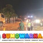 Jalan Lintas Timur Jambi-Pekanbaru Tergenang, Warga Diminta Waspada