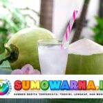 Manfaat dan Kandungan Nutrisi Air Kelapa Muda untuk Kesehatan