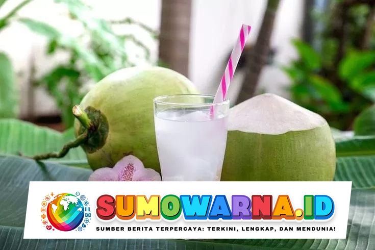 Manfaat dan Kandungan Nutrisi Air Kelapa Muda untuk Kesehatan